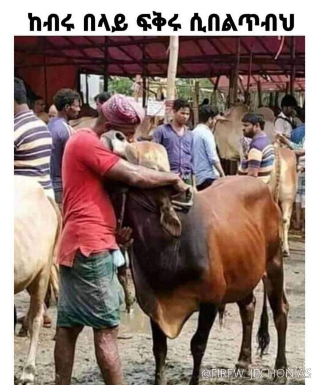 ከብሩ በላይ ፍቅሩ ሲበልጥብህ 